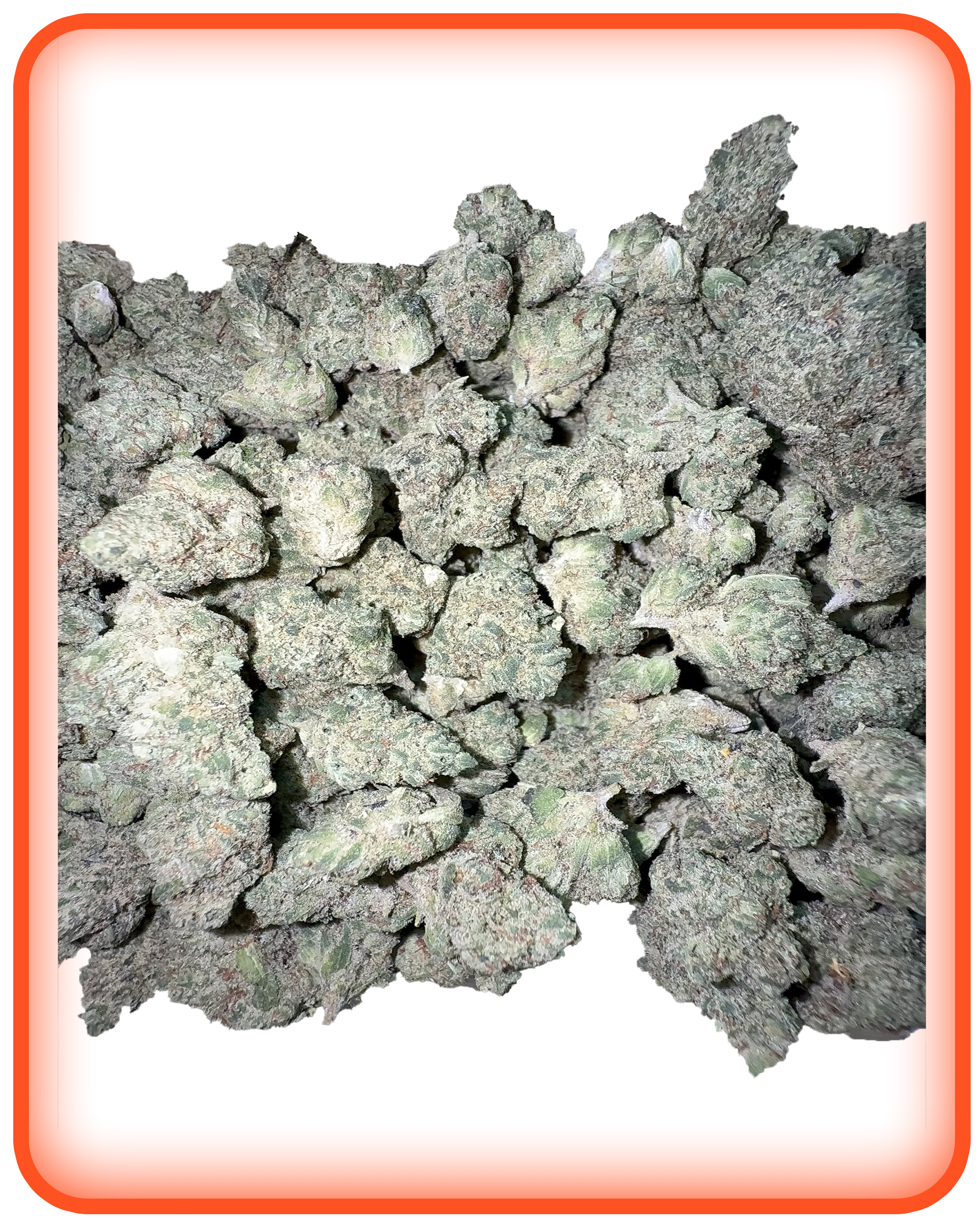 BRONIIZ
