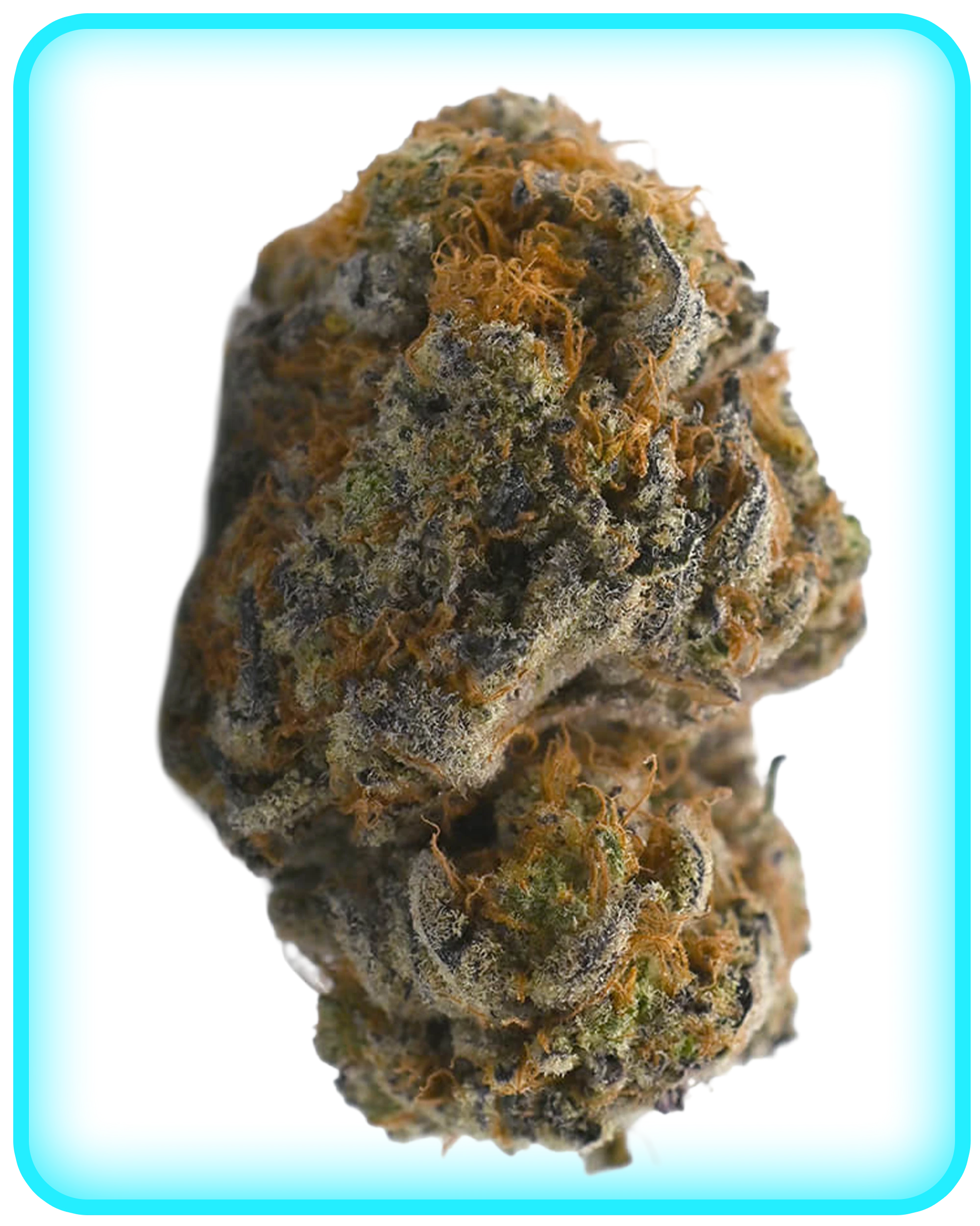 BRONIIZ