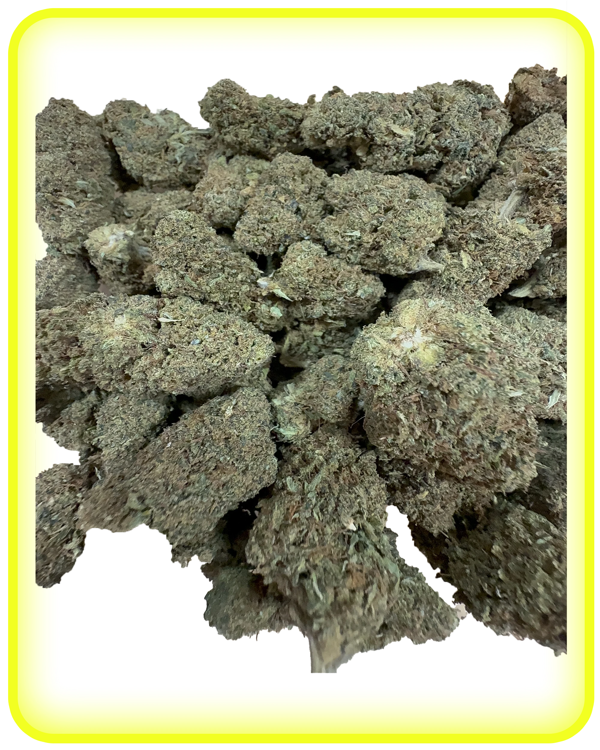 BRONIIZ