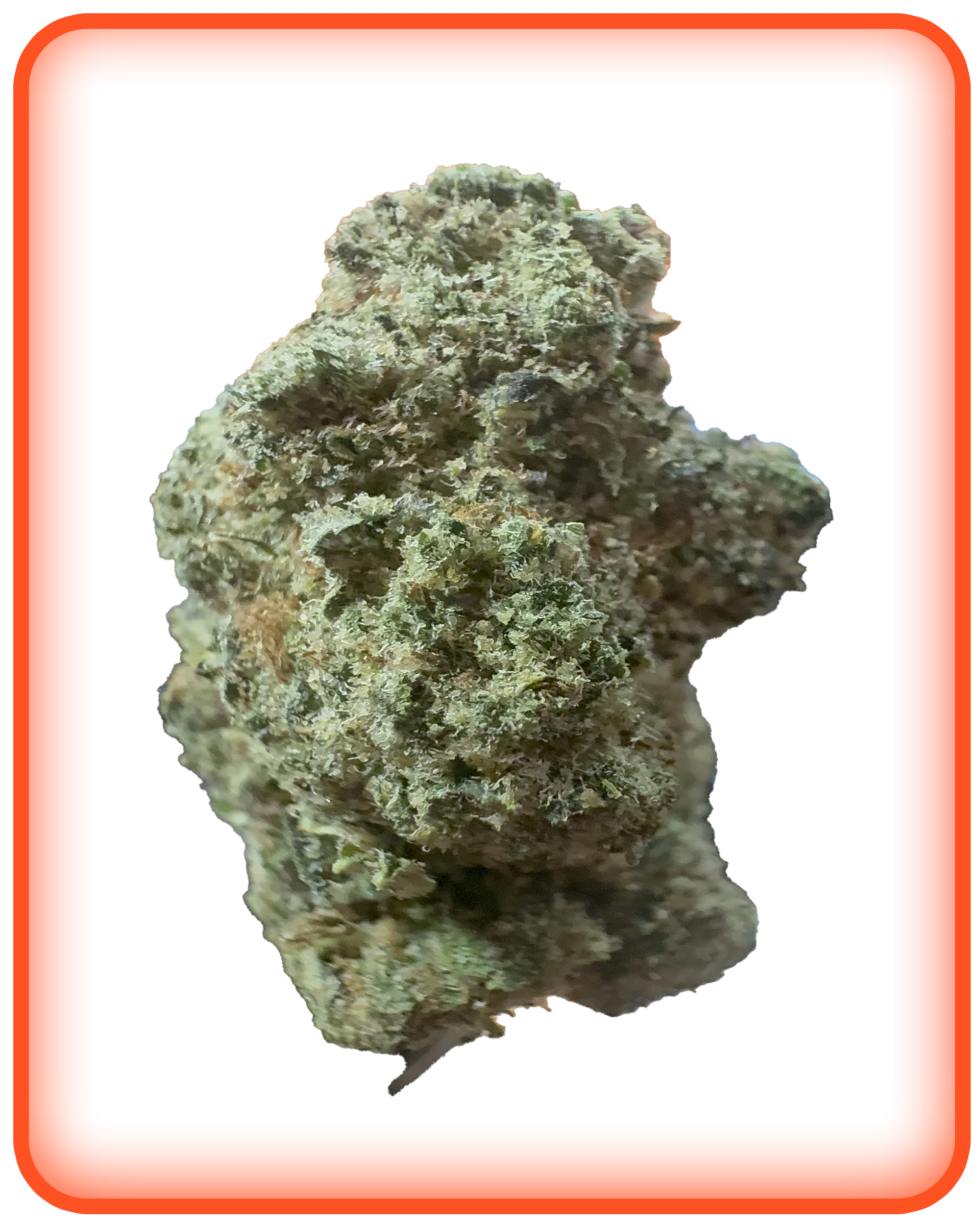 BRONIIZ